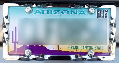 Twisted Chrome License Plate Frame with Jeweled Screw Caps